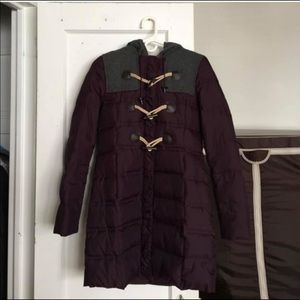 Purple Puffer Coat